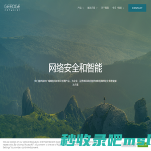 Geedge Networks – Greater than the Edge