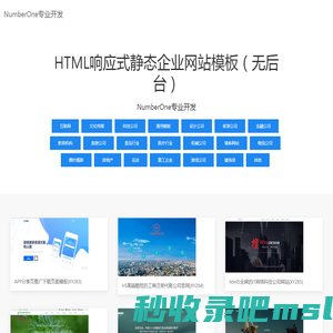 NumberOne专业开发-演示网站