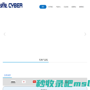 深圳赛博尔电子有限公司