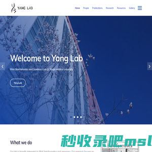 Yang Lab | Tianjin Medical University