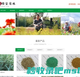 大庄绿宝园林网-进口草坪种子-草花卉种子-牧草种子-园林绿化苗木