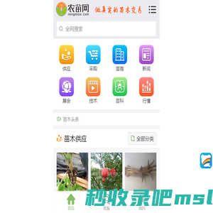 农苗网|苗木求购信息-园林绿化专业苗木网站