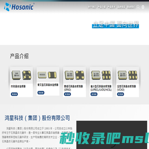 鸿星科技（集团）股份有限公司