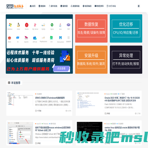 数据运维技术-数据库 服务器 网站 数据恢复 MySQL ORACLE  SQLServer