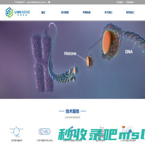 亚克隆构建服务-蛋白表达系统-广州灵境生物技术有限公司