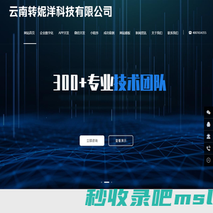 互联网营销_信息流广告_小程序APP开发-云南转妮洋科技有限公司