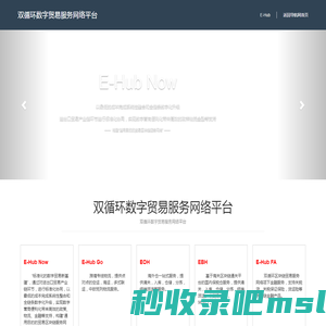 双循环数字贸易服务网络平台