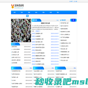 龙争虎战网