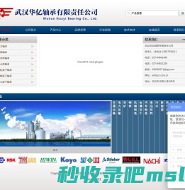 武汉华亿轴承有限责任公司