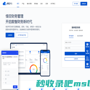免费财务软件-免费会计记账软件-在线免费开源财务系统-悟空FS