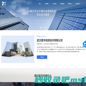 武汉夏宇信息技术有限公司